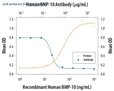 R&D Systems MAB2926-100 image 1