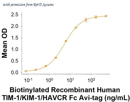 R&D Systems AVI9319-050 image 1