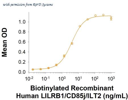 R&D Systems BT8989-050 image 1