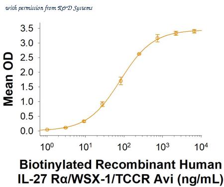 R&D Systems AVI11270-050 image 1