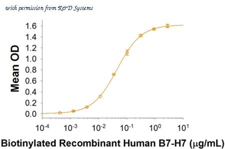 R&D Systems BT8084-050 image 1
