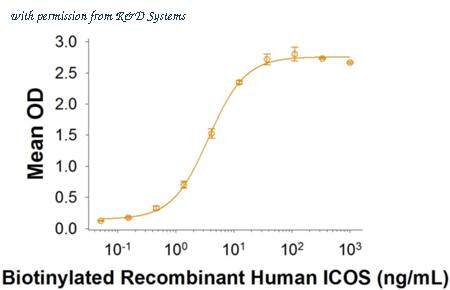 R&D Systems BT169-050 image 1
