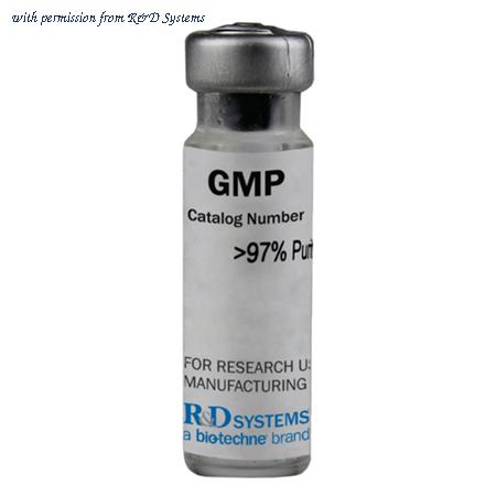 R&D Systems BT-015-GMP-025/LQ image 1
