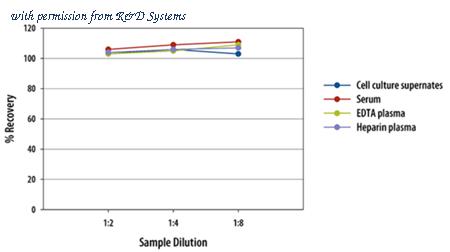 R&D Systems DCL180B image 1