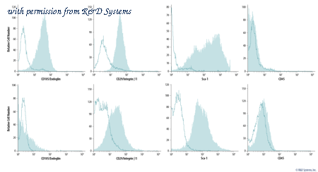 R&D Systems FMC003 image 1