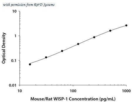 R&D Systems MWSP10 image 1