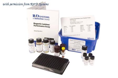 R&D Systems LBAM000 image 1