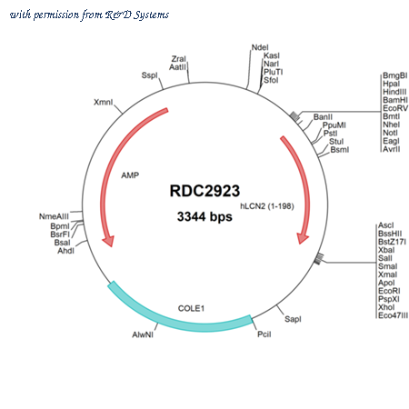 R&D Systems RDC2923 image 1