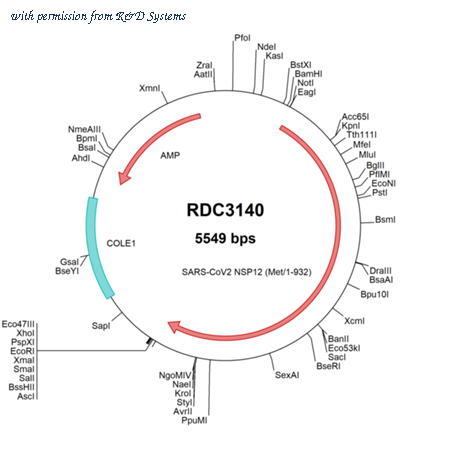 R&D Systems RDC3140 image 1