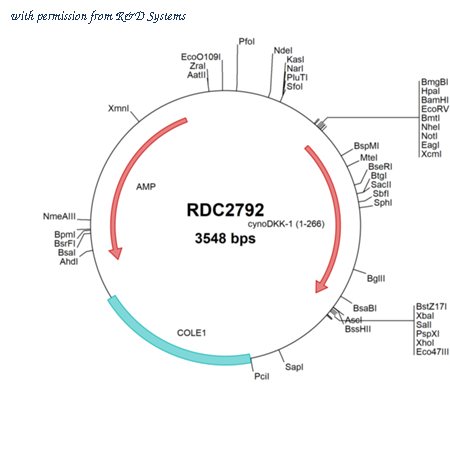R&D Systems RDC2792 image 1