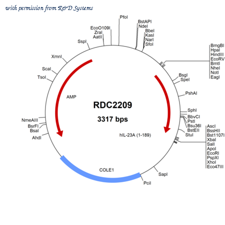 R&D Systems RDC2209 image 1