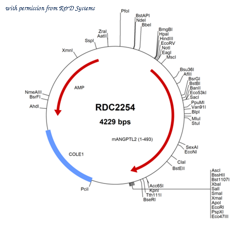 R&D Systems RDC2254 image 1