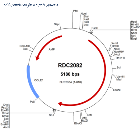 R&D Systems RDC2082 image 1