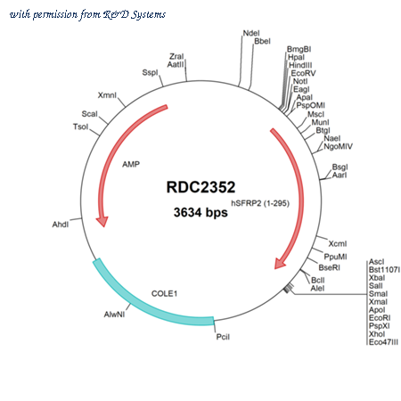 R&D Systems RDC2352 image 1