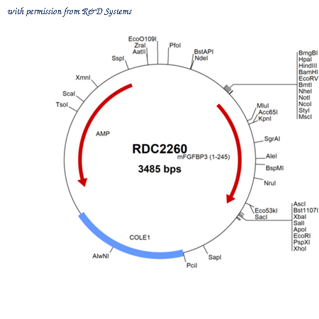 R&D Systems RDC2260 image 1