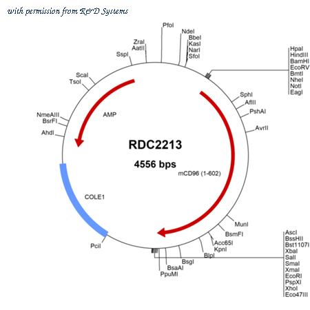 R&D Systems RDC2213 image 1