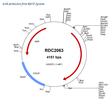 R&D Systems RDC2063 image 1