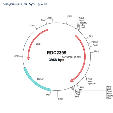 R&D Systems RDC2399 image 1