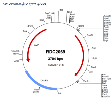 R&D Systems RDC2069 image 1