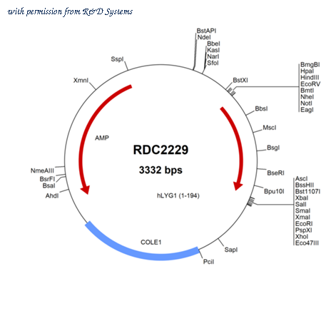 R&D Systems RDC2229 image 1