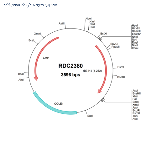 R&D Systems RDC2380 image 1