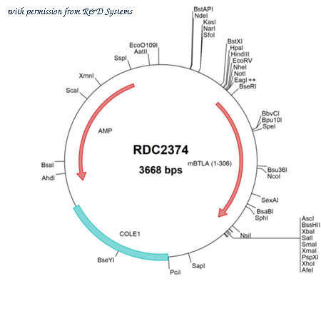 R&D Systems RDC2374 image 1