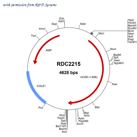 R&D Systems RDC2215 image 1