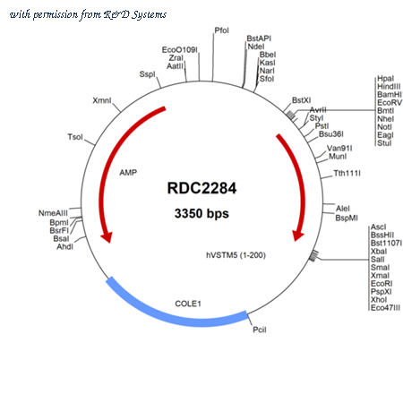 R&D Systems RDC2284 image 1