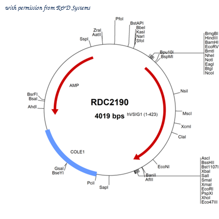 R&D Systems RDC2190 image 1