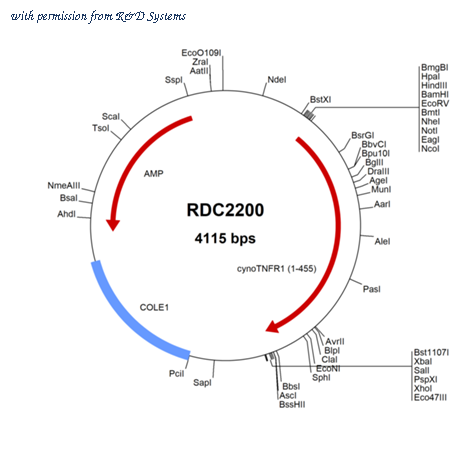 R&D Systems RDC2200 image 1