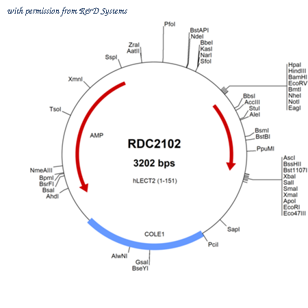 R&D Systems RDC2102 image 1