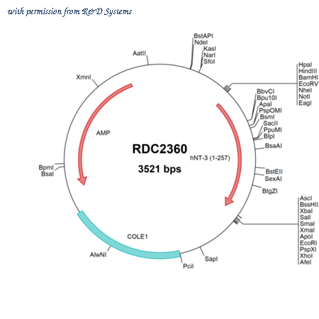 R&D Systems RDC2360 image 1