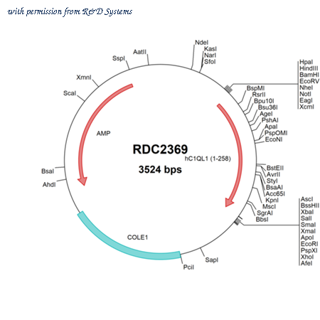R&D Systems RDC2369 image 1