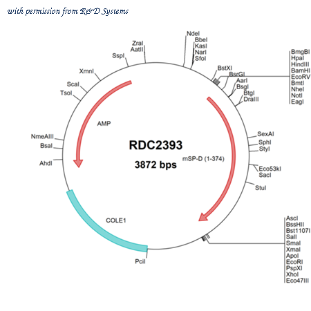 R&D Systems RDC2393 image 1