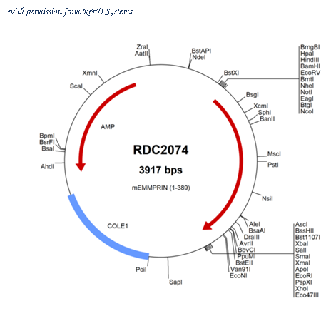R&D Systems RDC2074 image 1