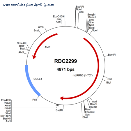 R&D Systems RDC2299 image 1