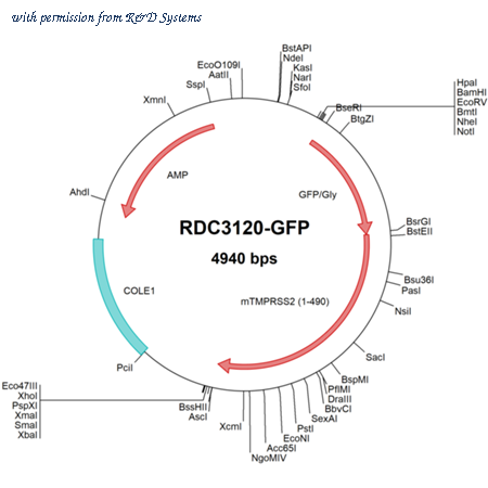 R&D Systems RDC3120-GFP image 1