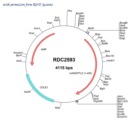 R&D Systems RDC2593 image 1