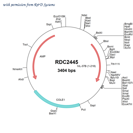 R&D Systems RDC2445 image 1