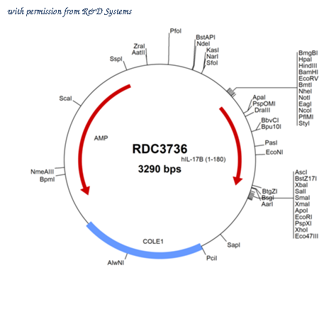 R&D Systems RDC3736 image 1