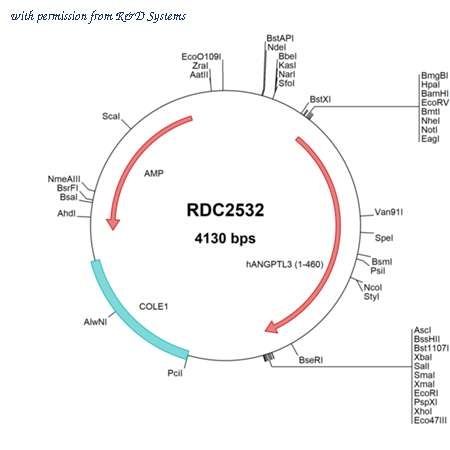 R&D Systems RDC2532 image 1