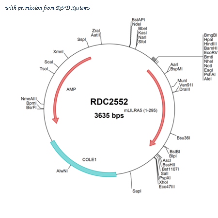 R&D Systems RDC2552 image 1