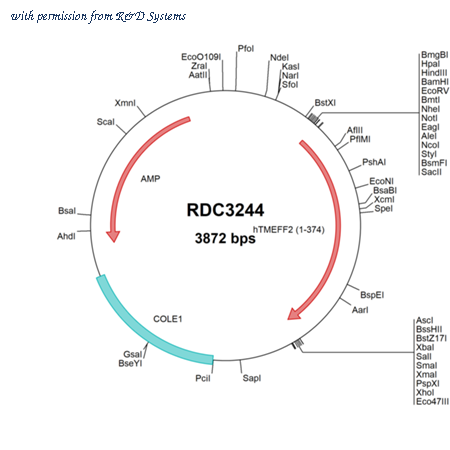 R&D Systems RDC3244 image 1