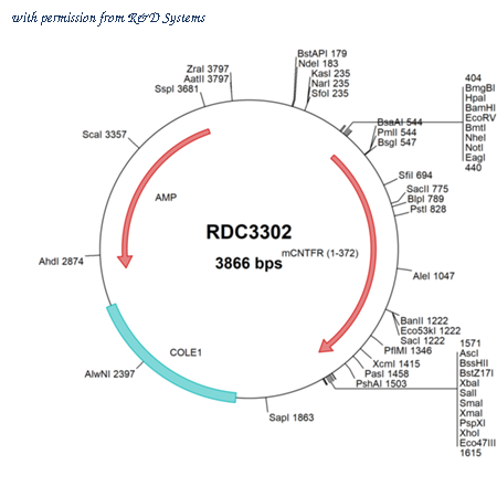 R&D Systems RDC3302 image 1