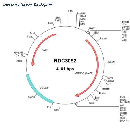 R&D Systems RDC3092 image 1