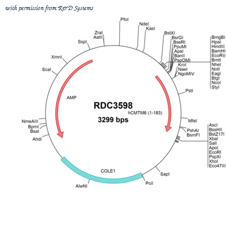 R&D Systems RDC3598 image 1