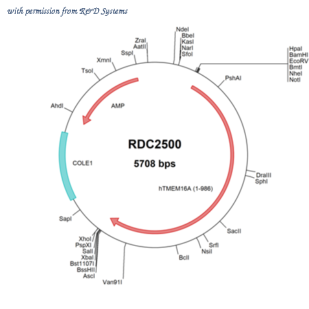R&D Systems RDC2500 image 1