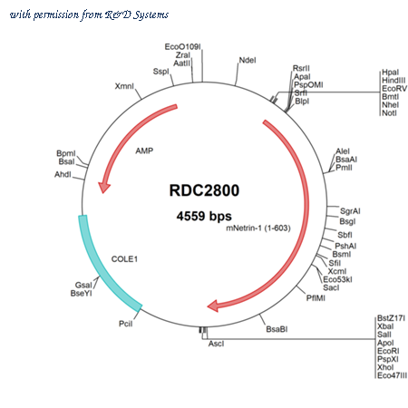 R&D Systems RDC2800 image 1