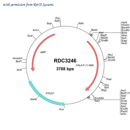 R&D Systems RDC3246 image 1