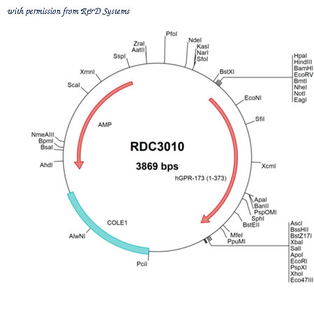 R&D Systems RDC3010 image 1